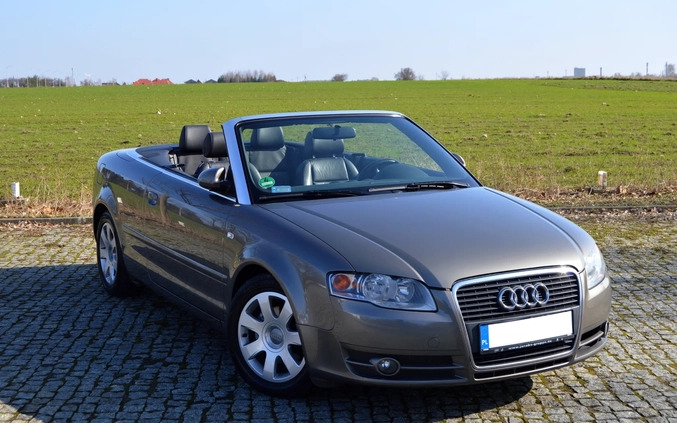 Audi A4 cena 19900 przebieg: 300000, rok produkcji 2006 z Sierpc małe 466